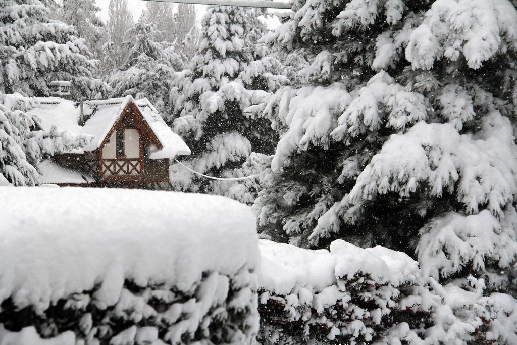Hosteria Canela B&B เอสเกล ภายนอก รูปภาพ
